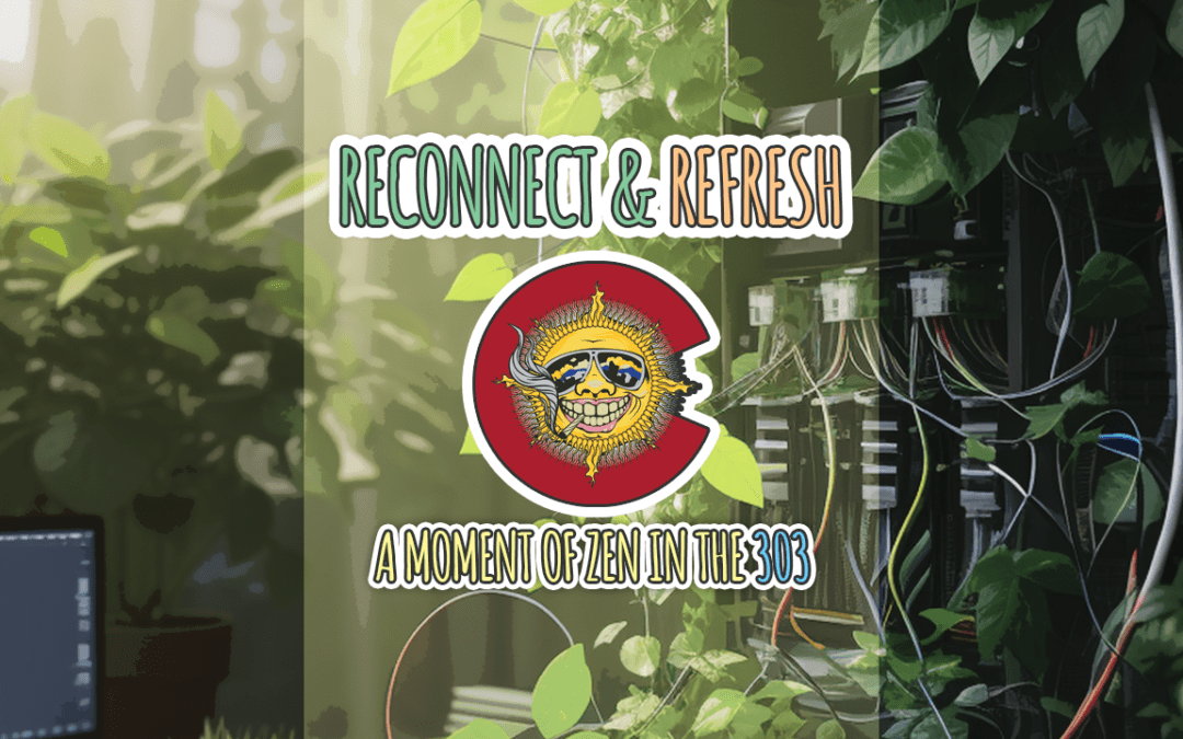 Reconnect & Refresh
